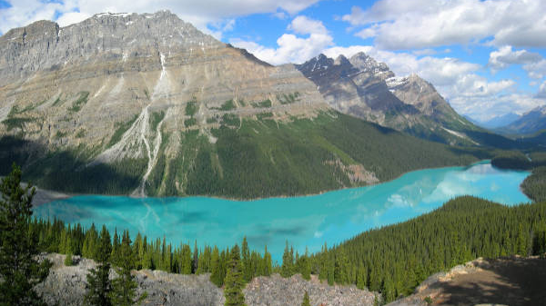 Airline staffing in Alberta
